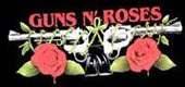 枪炮与玫瑰中文网